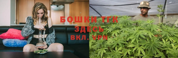 spice Богородицк